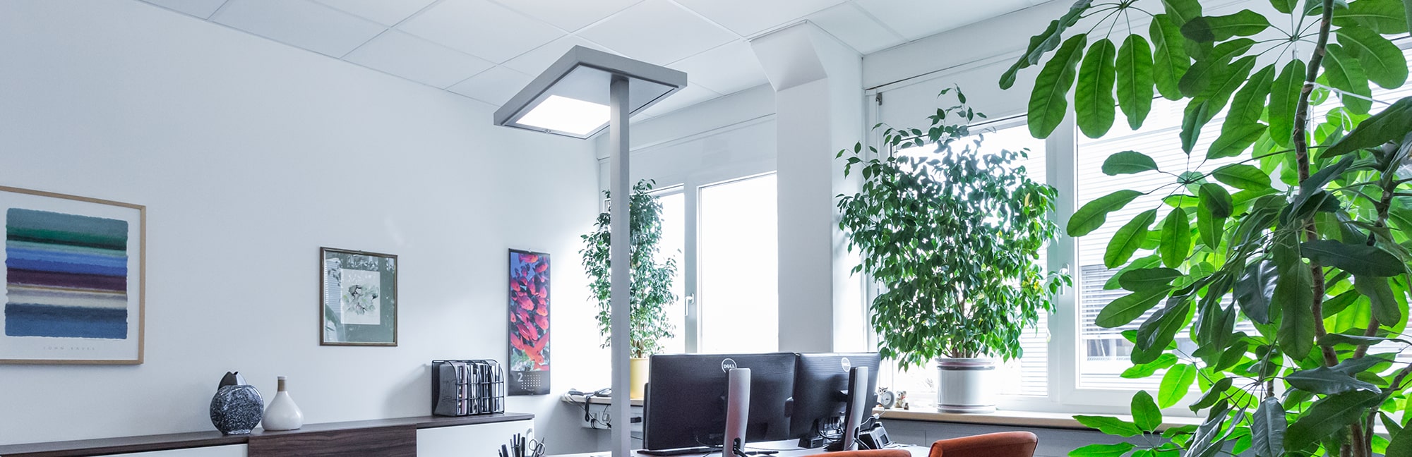 Saro Lux Burostehleuchten