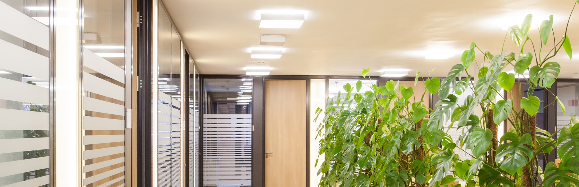 Saro Lux Wand Deckenleuchten